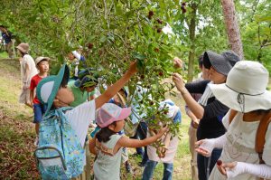 as-150712あいなやまももまつり2015 (335)-2