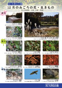 %e3%83%81%e3%83%a9%e3%82%b7_a4_%e7%b8%a6_%e8%a6%8b%e3%81%94%e3%82%8d%e3%81%ae%e8%8a%b1_12%e6%9c%88