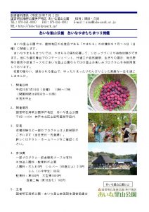 2016701記者資料提供やまももまつり